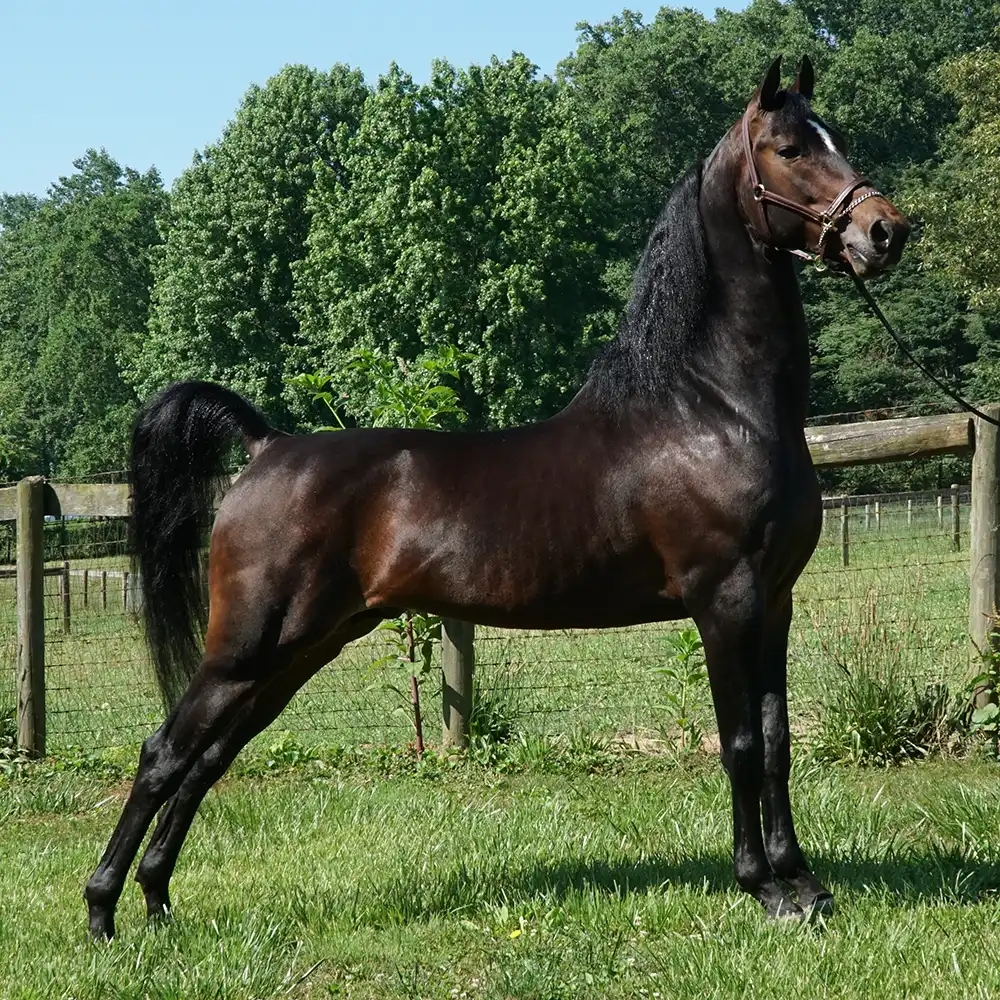 happy-hour happy hour