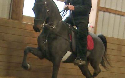 PCS Like Gold Refined