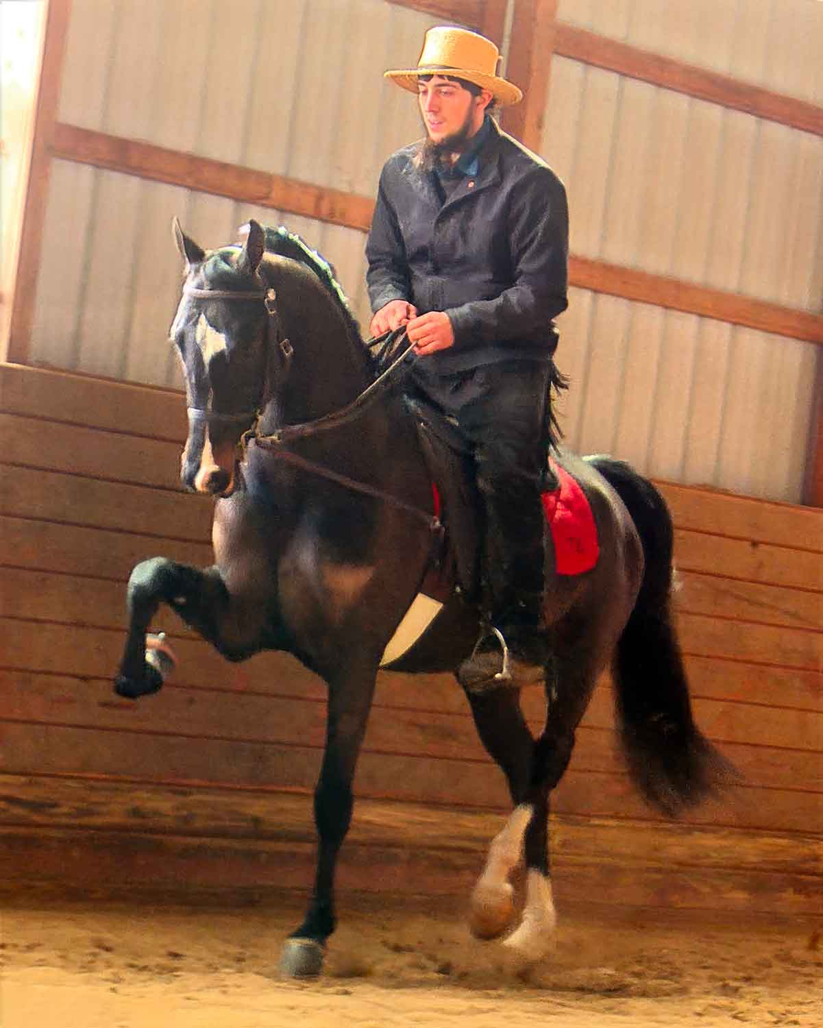 Shooting Star Somewhere